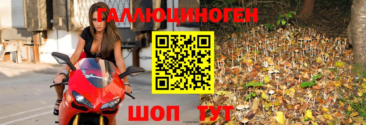 Псилоцибиновые грибы ЛСД Гусь-Хрустальный