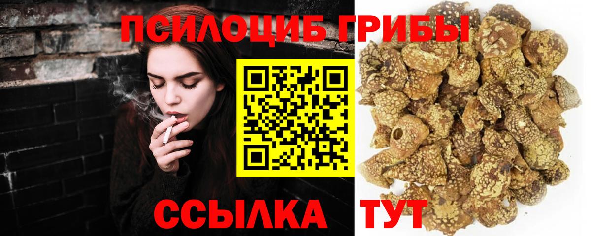 Псилоцибиновые грибы мухоморы  Вход с VPN  Псилоцибиновые грибы ЛСД  купить наркотики сайты  Гусь-Хрустальный 